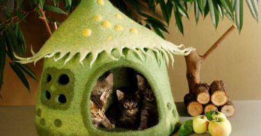 Luxe Pet Cat Outdoor Housing Ideas