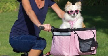 Comfy and Safe Pet Bicycle Carrier Basket Ideas for Your Pet