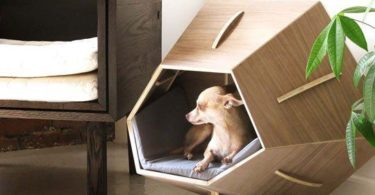 Modern Bed for Four- Legged Friend Lounging