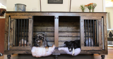 Stylish Dog Crates to Make Your Dog Part of the Family