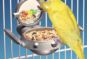 Modern Bird Cage Feeder and Drinker Ideas