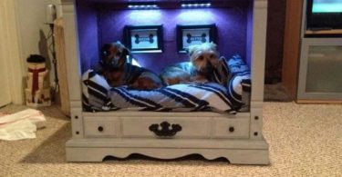 Recycle Your Old Furniture for Pet Creative Housing