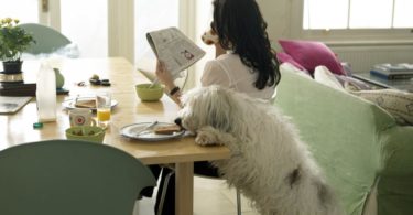 List Of Table Scraps Do and Don’t Share With Dogs