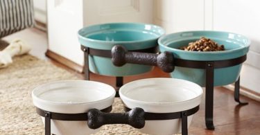 Diy Food Stations to Give Better Lifestyle to Loving Pet