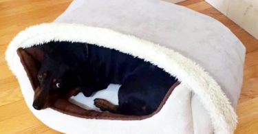 Burrow Dog Bed Perfect For Cozy Snuggle